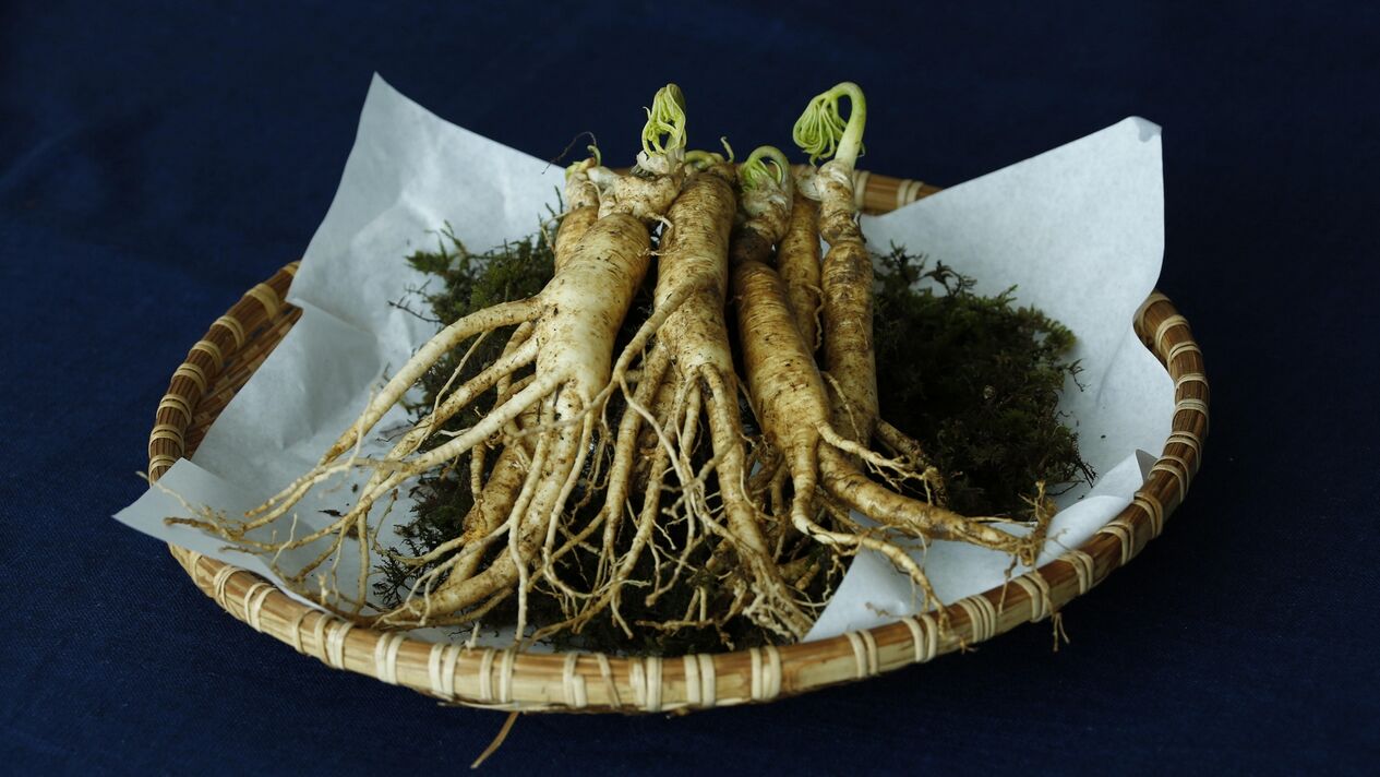 rădăcină de ginseng pentru potență